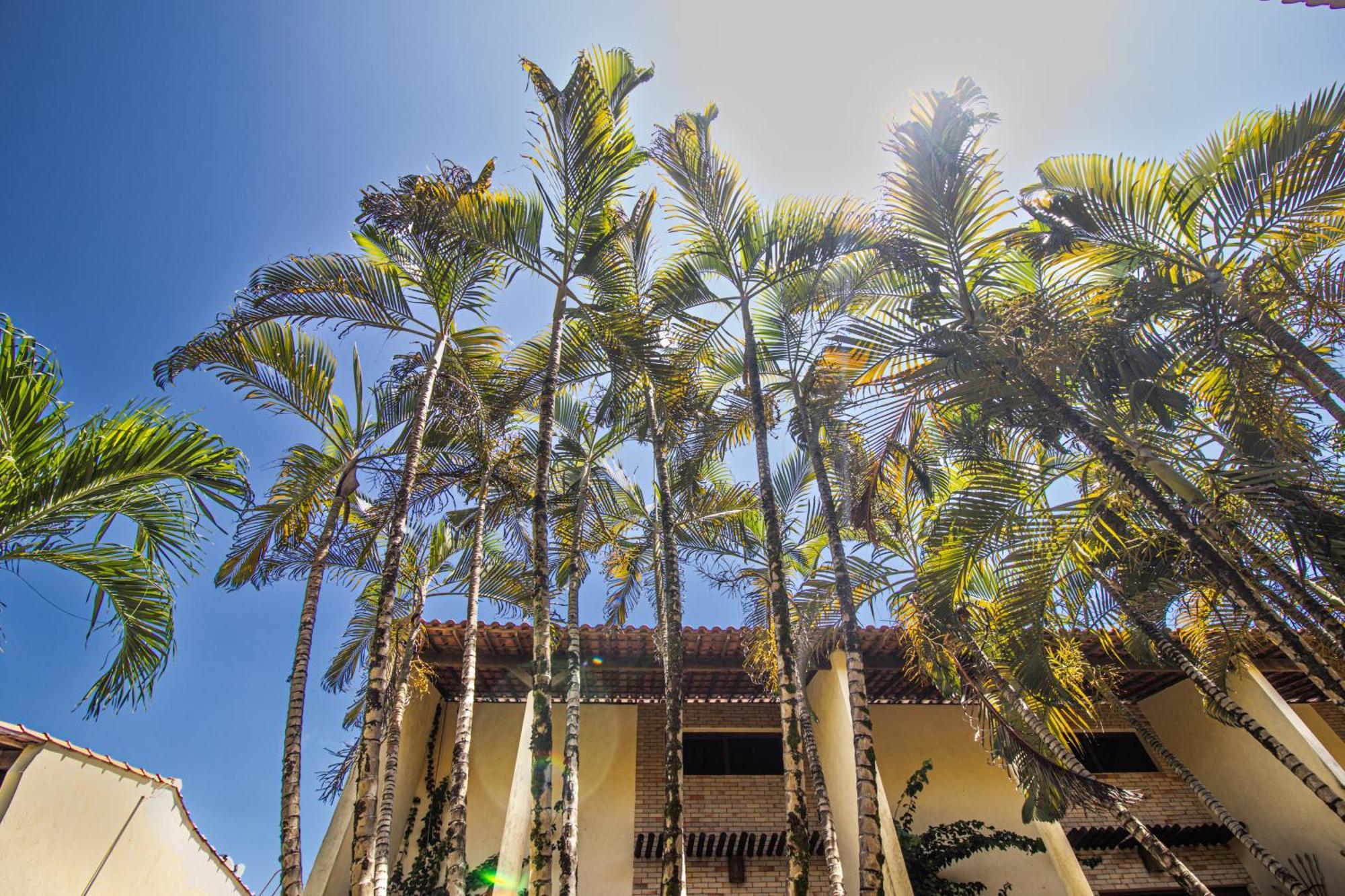 Condomínio Solar Pipa - Apartamento Económico, sem varanda Praia de Pipa Exterior foto